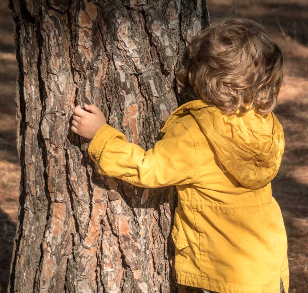 un enfant fait un câlin à un arbre